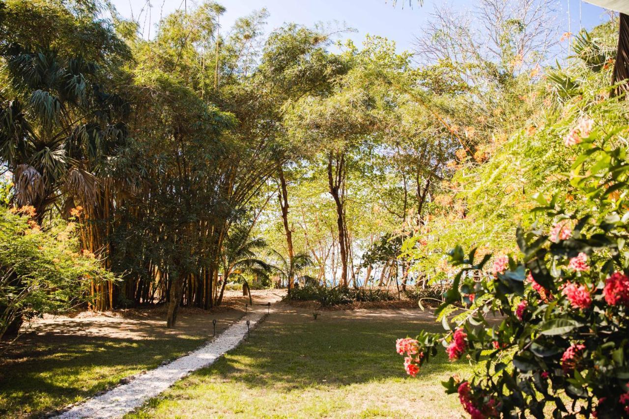 Playa Santa Teresa  Villas Almendros מראה חיצוני תמונה