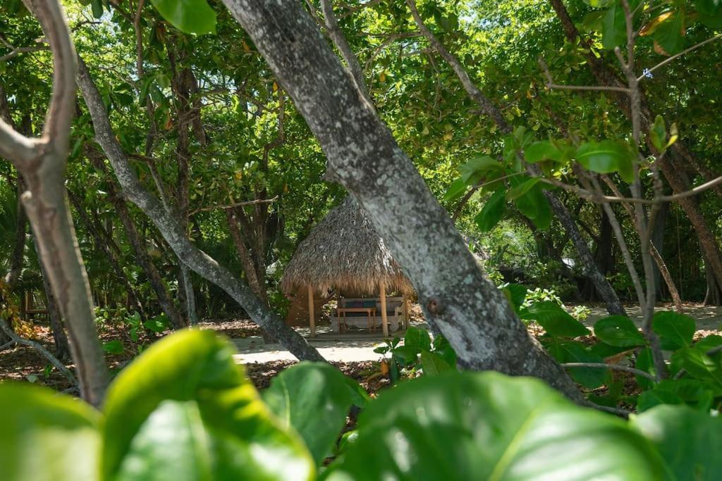 Playa Santa Teresa  Villas Almendros מראה חיצוני תמונה