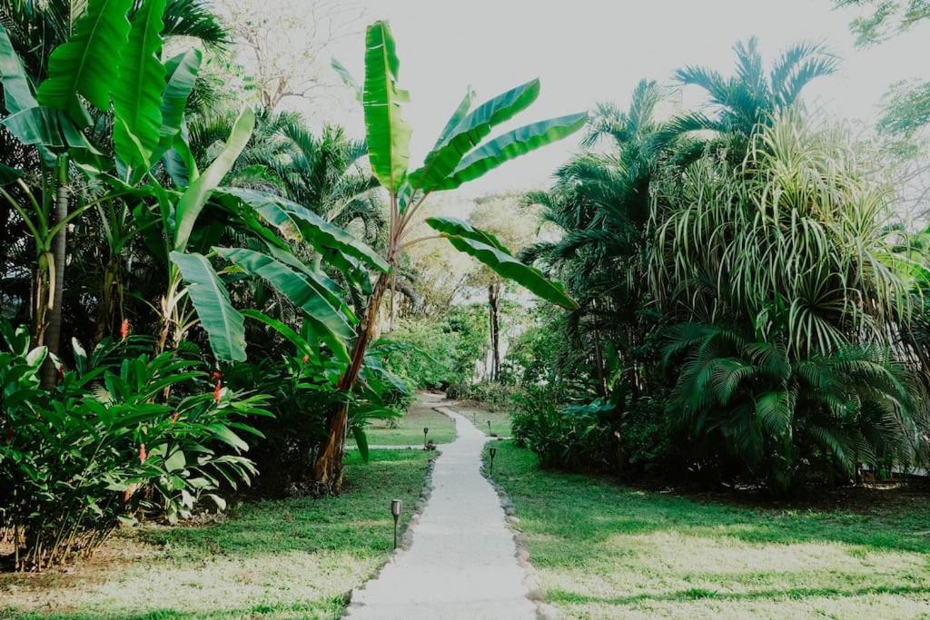 Playa Santa Teresa  Villas Almendros מראה חיצוני תמונה