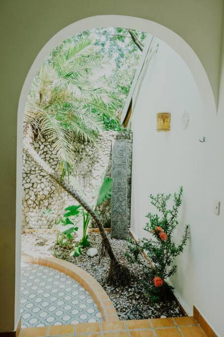 Playa Santa Teresa  Villas Almendros מראה חיצוני תמונה