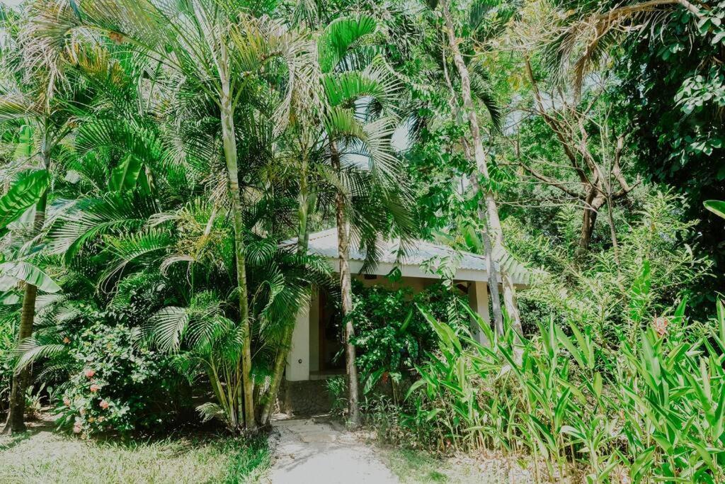Playa Santa Teresa  Villas Almendros מראה חיצוני תמונה