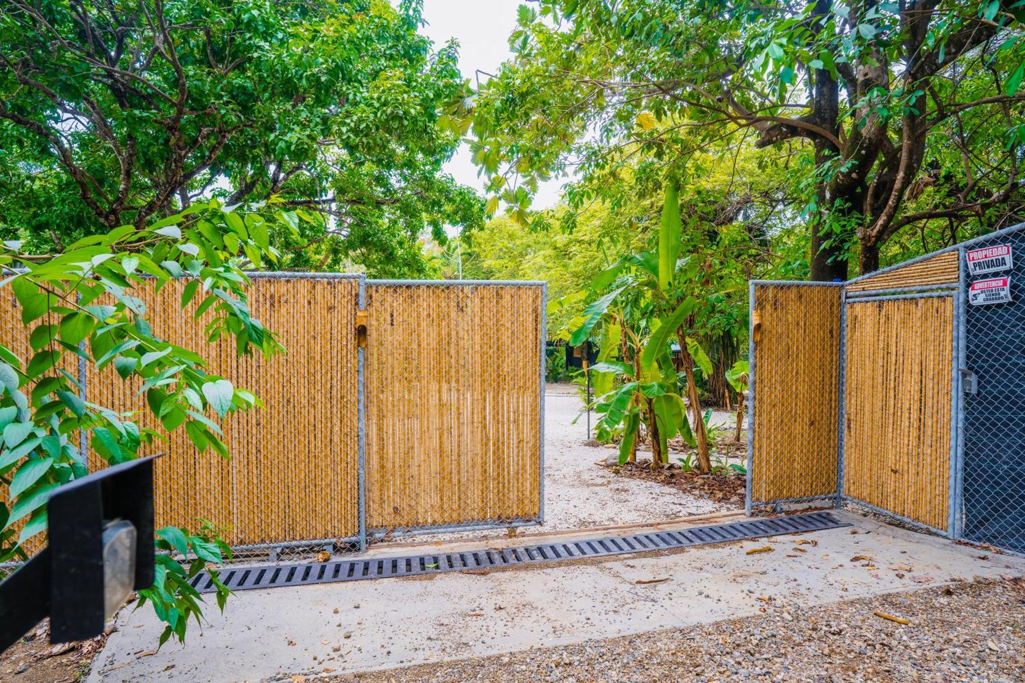 Playa Santa Teresa  Villas Almendros מראה חיצוני תמונה